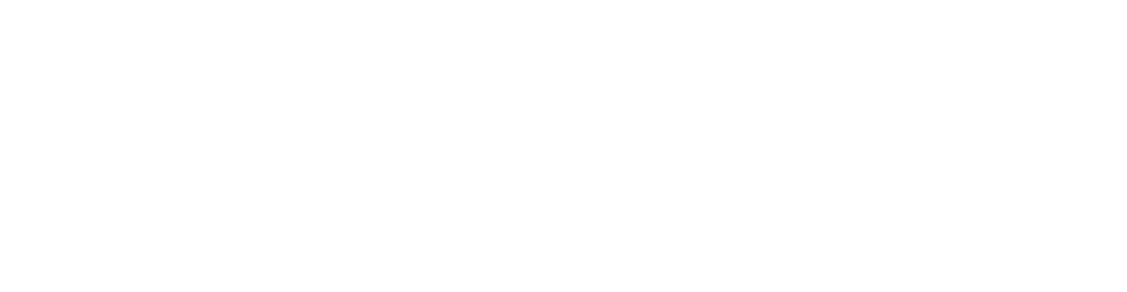 Sazinc logo white